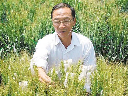 裘志新：育良種保大地豐收